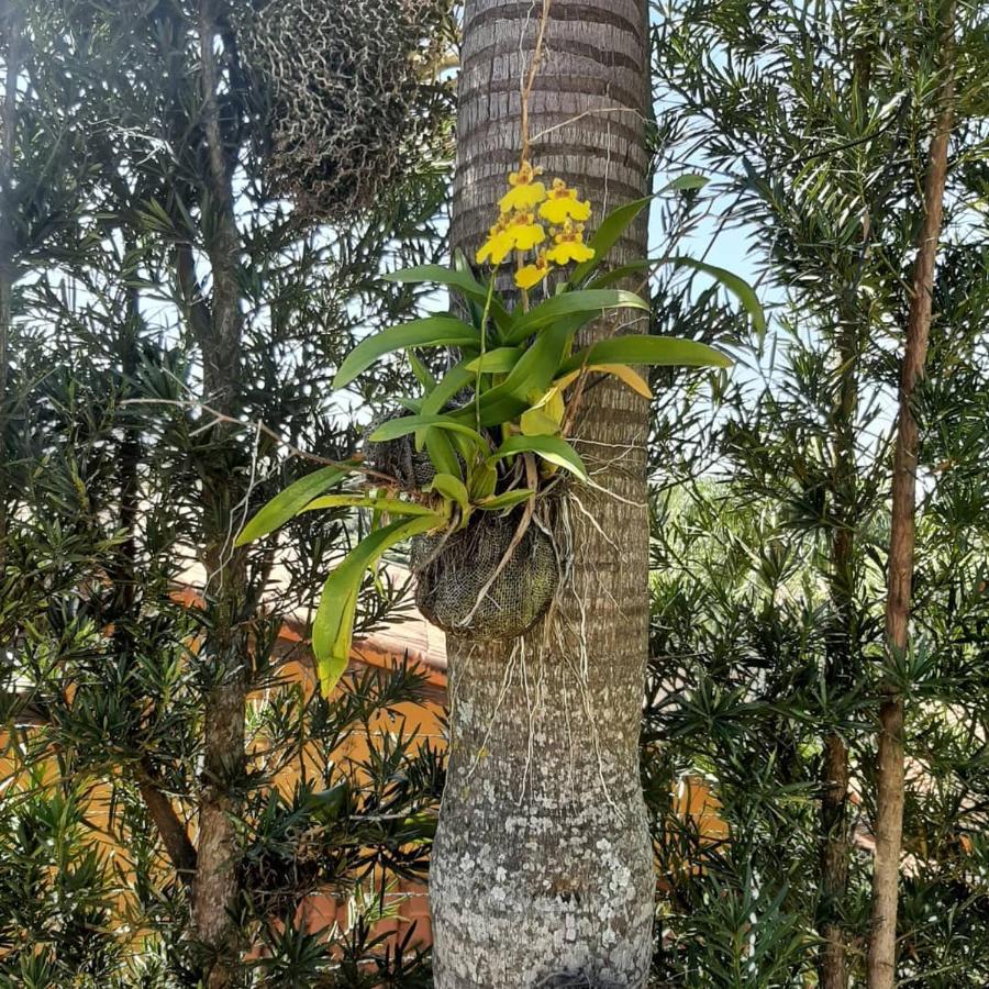 Chacara Em Atibaia Villa Luaran gambar